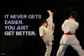 Martial Arts Quotes And Sayings. QuotesGram via Relatably.com