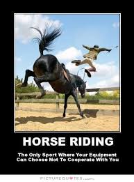 Horse riding. The only sport where your equipment can choose not... via Relatably.com