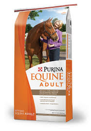 Image result for HORSE