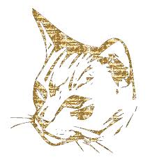 Résultat de recherche d'images pour "wow  gif brillant"