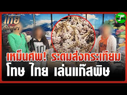 Thairath - News update