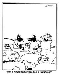 Image result for wolf in sheep's clothing cartoon