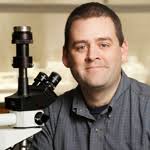 University of Illinois comparative biosciences visiting instructor Matthew Allender has discovered that Chrysosporium, a fungus not normally seen in ... - allender_matthew_a