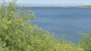 San Carlos Lake Indefinitely Closed After Catastrophic Fish Kill