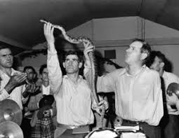 snake_handling