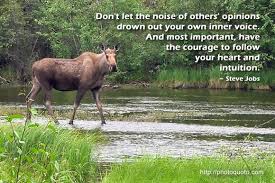 Famous quotes about &#39;Moose&#39; - QuotationOf . COM via Relatably.com