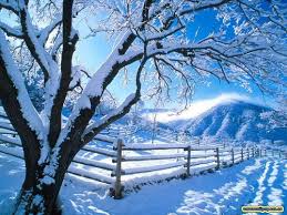 Resultado de imagem para inverno