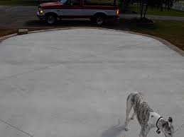 Image result for DSCN0825.JPG