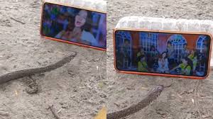 India TV Hindi - News update