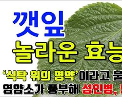 깻잎의 다양한 효능