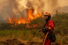 El Mundo - News update