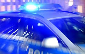 Trend Google: verhaftung