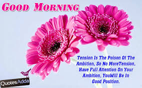 Good Morning Greetings in English for Lovers | Quotes Adda.com ... via Relatably.com