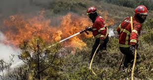Todo-o-terreno em Vimioso cancelado devido a alerta para incêndios