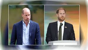 Prince Harry enrages William: ‘Don’t give them more rope we’ll be the ones hanged on it’