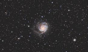 Image result for galaxy m101