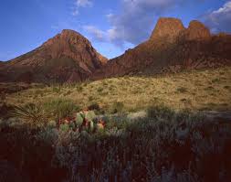Image result for texas mountains