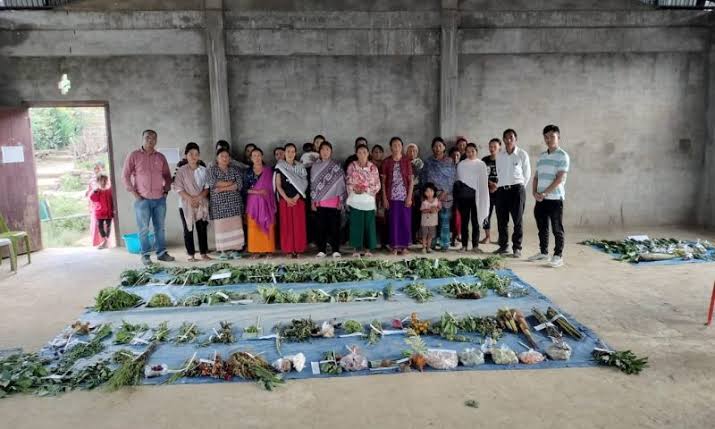 Nagaland University study finds forest products boost tribal food security and incomes in Nagaland, Meghalaya; identifies 47 NTFPs