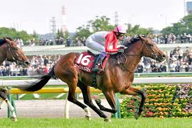 ゴーイントゥスカイは引き続き武豊とのコンビで日本ダービーへ【次走報】