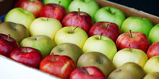 Resultado de imagem para Maçã