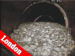 Image result for fat bergs