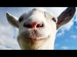 Image result for GOAT