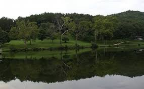 Image result for "Current River"