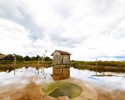 Image of Hot Springs in Cambodia