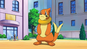 Resultado de imagem para buizel