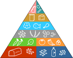 Resultado de imagem para pirâmide alimentar