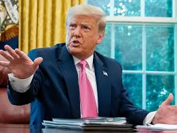 He was rooting for them': Trump backed rioters in call with top Republican: lawmakers