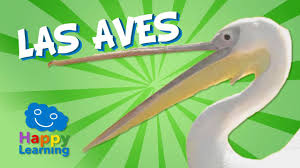 Resultado de imagen de las aves