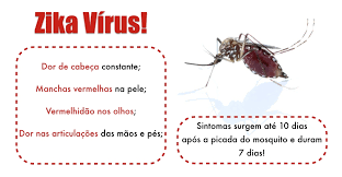 Image result for virus zika