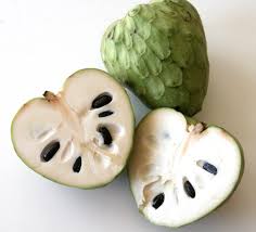 Image result for custard apple Mark Twain