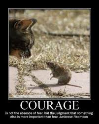 Humorous Quotes On Courage. QuotesGram via Relatably.com