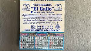 ¿Conoces cuáles son las fechas de descanso obligatorio?