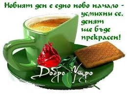 images?q=tbn:ANd9GcT_cx4cG6yO8jntUfPSZ791kyv_TU12kQ7DhL9RI6n9ZNQBZqsN2w