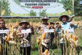 Swasembada Jagung, Wakapolda Gorontalo Hadiri Panen Raya
