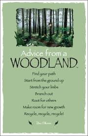 Druids Trees: Advice from a Woodland... | pagan | Pinterest | Help ... via Relatably.com