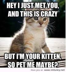 Kittens with Sayings | Cute picture captions quotes little funny ... via Relatably.com