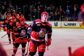 Red Wings Prospects Shine in AHL Playoffs