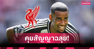 Siamsport - News update