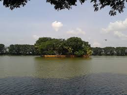Image result for DANAU TASIKARDI
