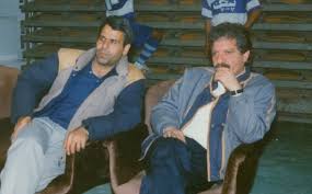 حمید ملک احمدی