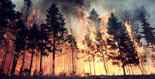 Image result for images of natural disasters