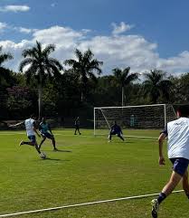 Tribuna Sul Fluminense - News update