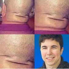 Resultat d'imatges de willyrex