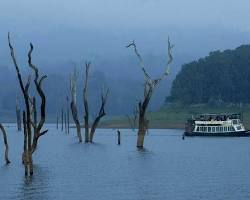 Image of Periyar National Park in rain