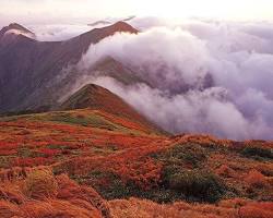 谷川岳の紅葉の画像