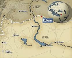 Risultati immagini per kobane map